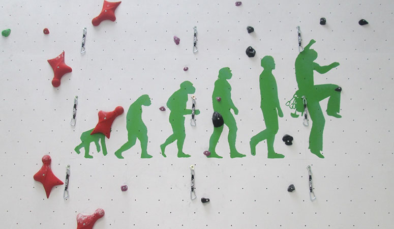 Evolution climbing Center